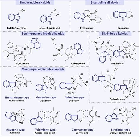 indole alkaloid|indole alkaloids examples.